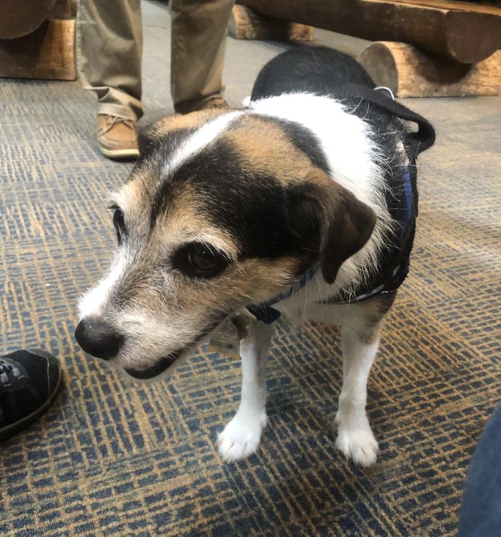 08d84c5f889b0b69129682b715