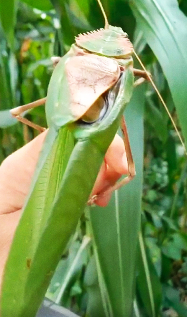 08d8b350f0bbc10f17ebf6a9ee 08d8b350f0bbc10f17ebf6a9ee