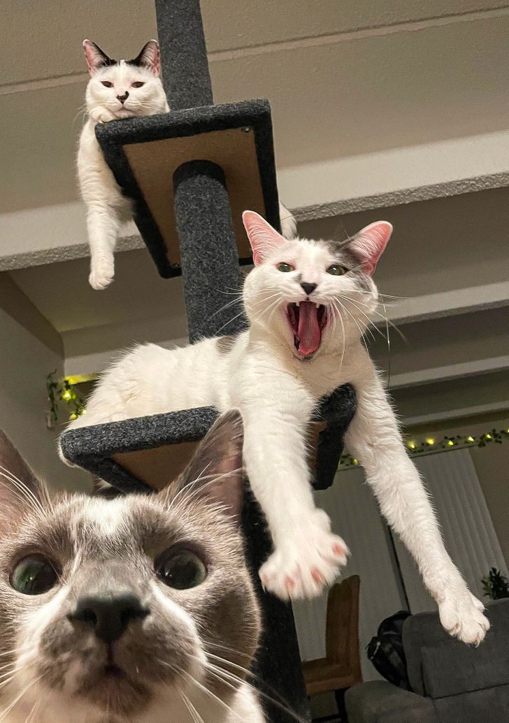 08dd675ff79bb6521e8e487401 08dd675ff79bb6521e8e487401