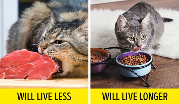 08e1055292b86f67b195b3b67f