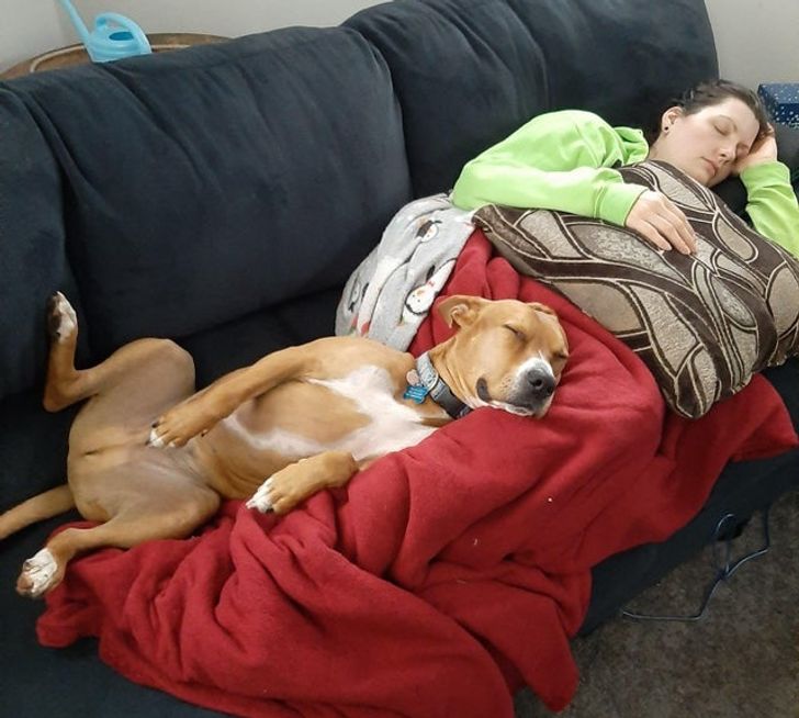 08e3a850c6ace5f12a6bea6ff8