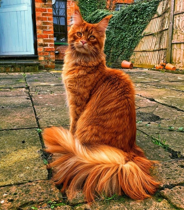 08e64f58768eb8b5caa4be635f