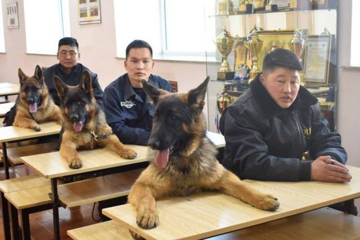 08f3b45694a770e29f047303fe