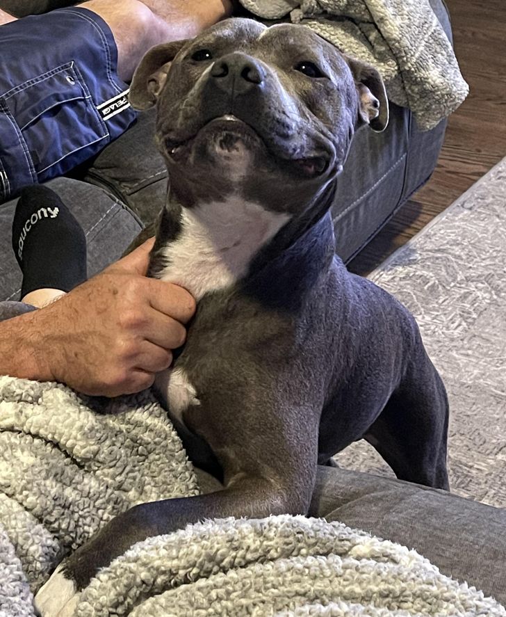 08f615590c87026a1d91d610cd