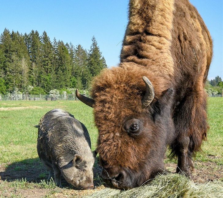 08f82d5d34bef08a20e5bd106e