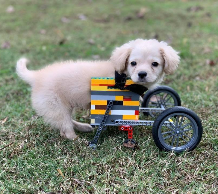 08ffc85e44a9f6d2c227babb2f