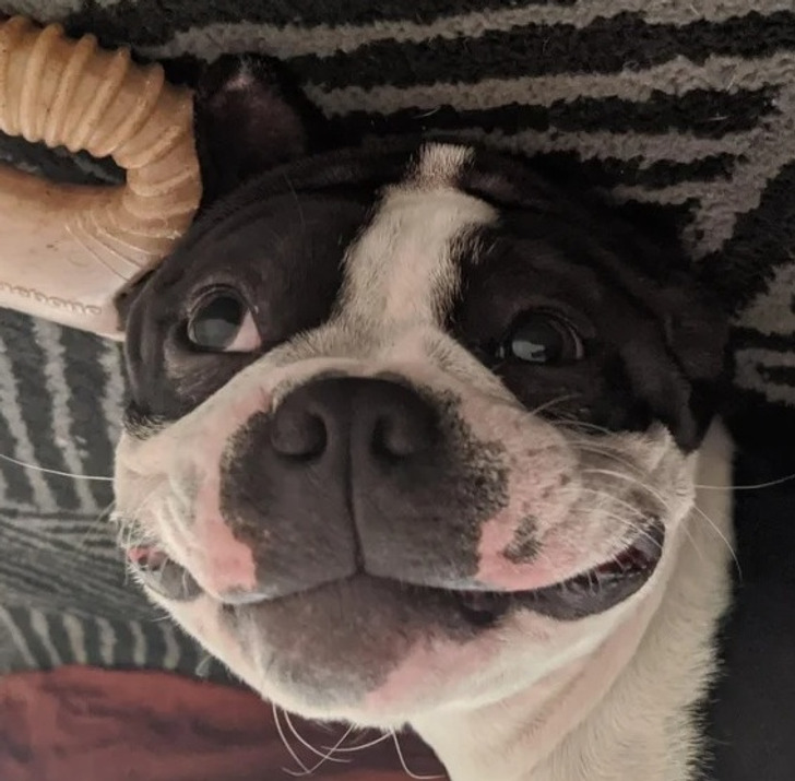 092363503f9558dd4572412750