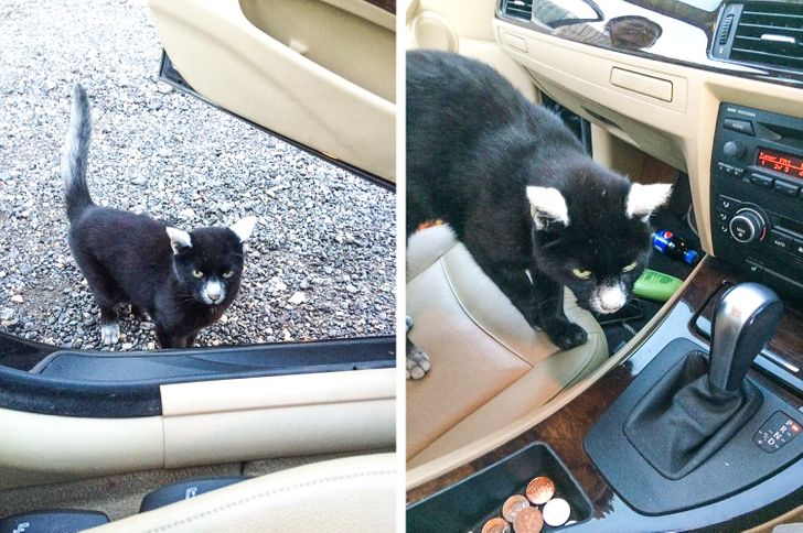 092a71537cb94f6b5636210b42