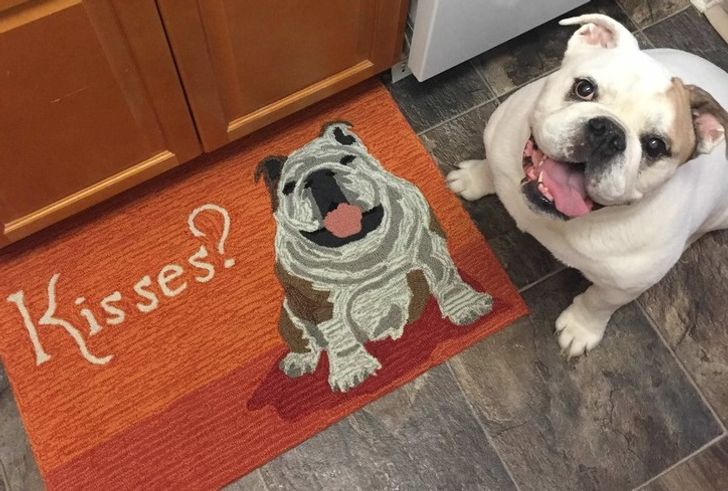 092ab05075a6e26570ffdf2a90