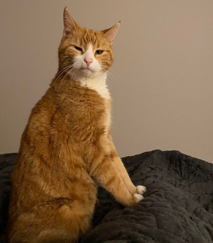 093257537490170a96cbc8d034