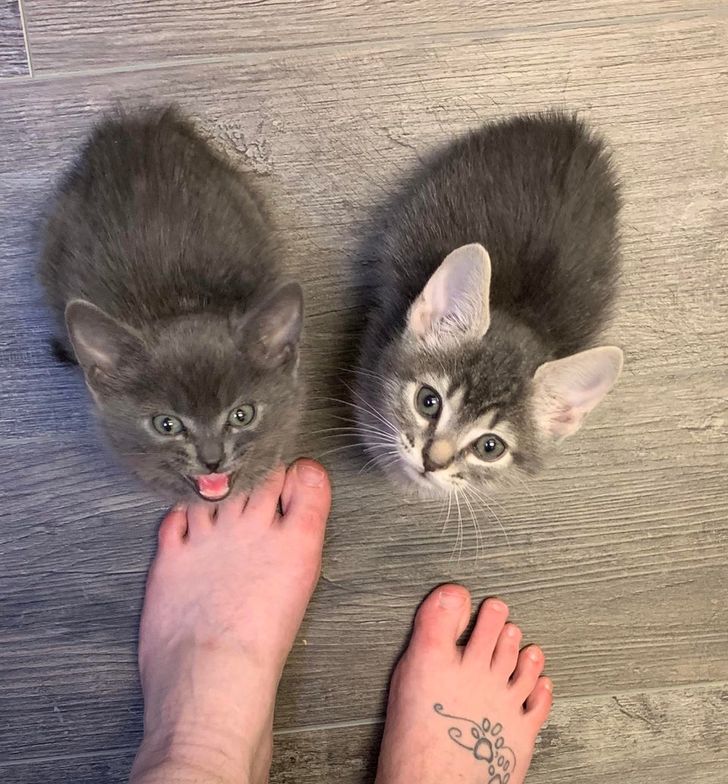 09556659f8a3c5273ef5a764ad