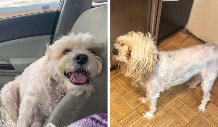 095bc550c4a40d373a79768869