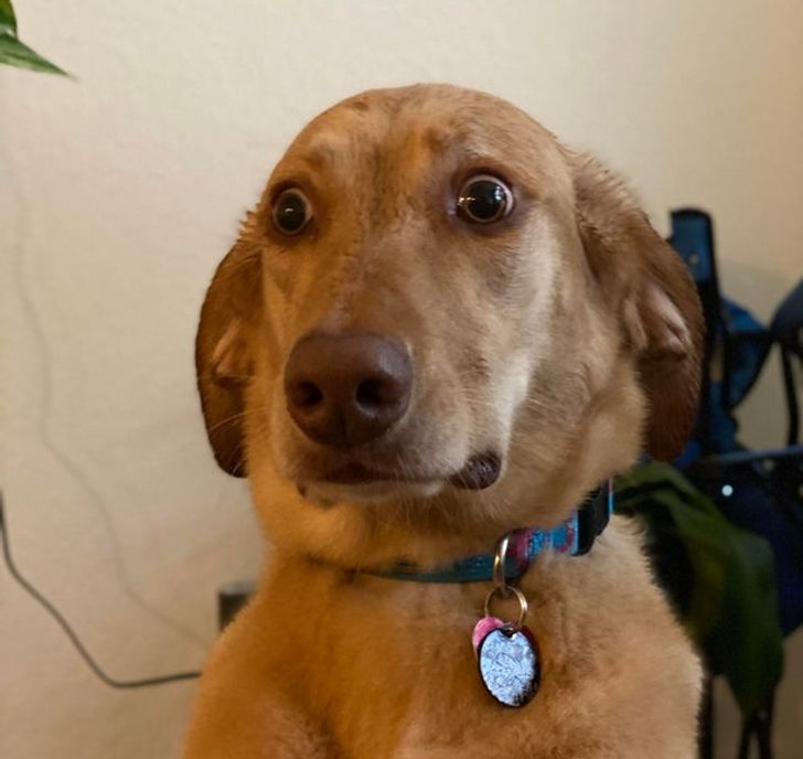 095bed5161837cb6a34c6c7a68