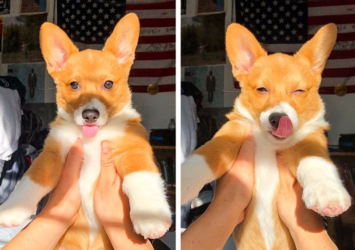 09661056b3a89ec8c13316a2cc