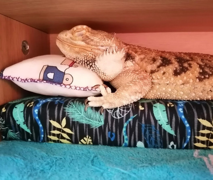 096a425de1840462c9fd366353