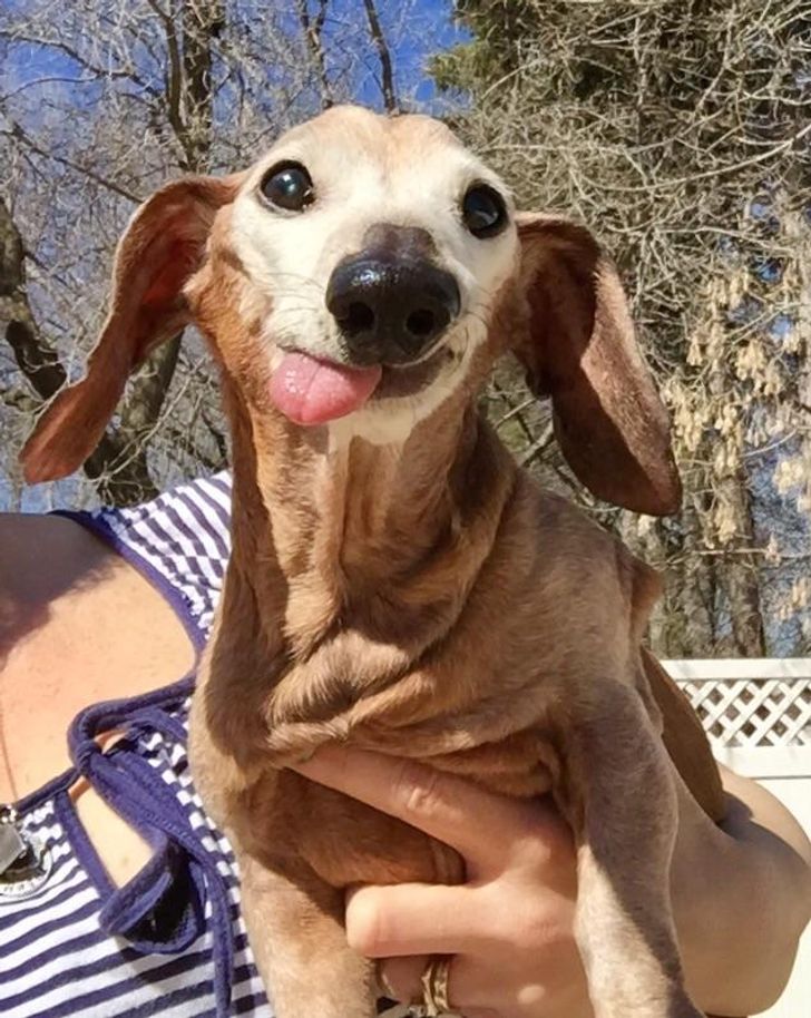 096f9c55c69fddc1625ed7dcc4