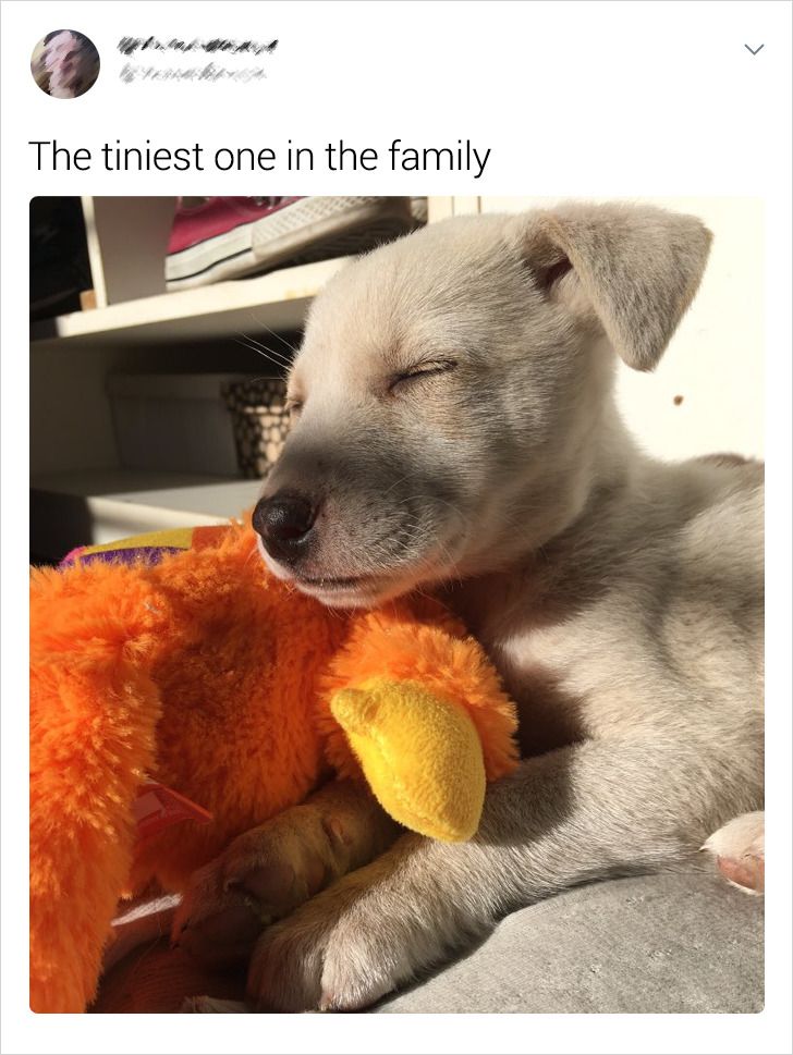 096fbf5adca90ac416dcda3ab8