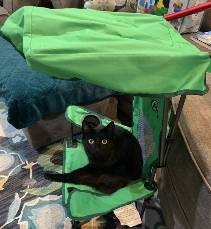 0978cd5b8c8730d415a9bdfd52