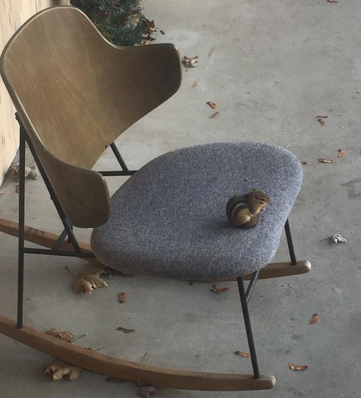 097a5658d4a3aceb505d57b53d