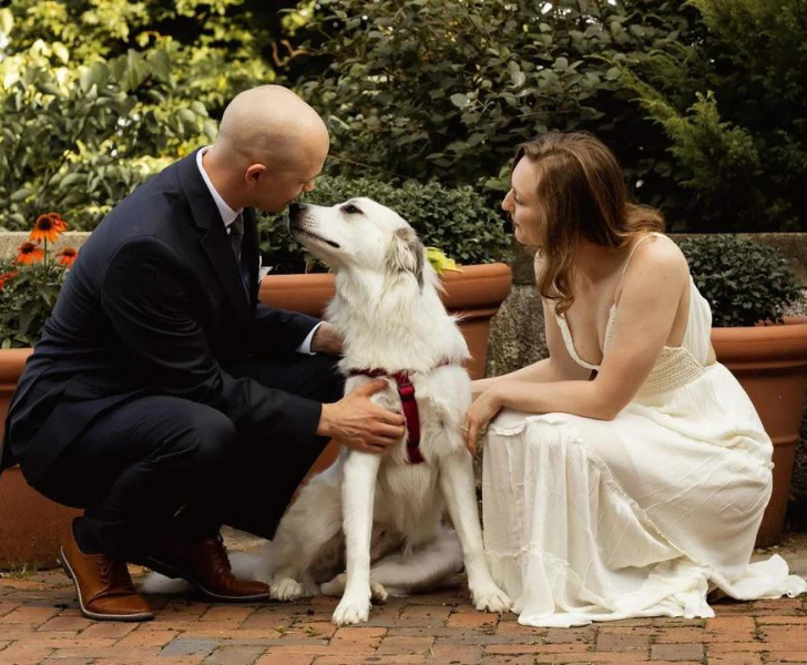 097d815ee5b7e61a9fe81a9615 097d815ee5b7e61a9fe81a9615