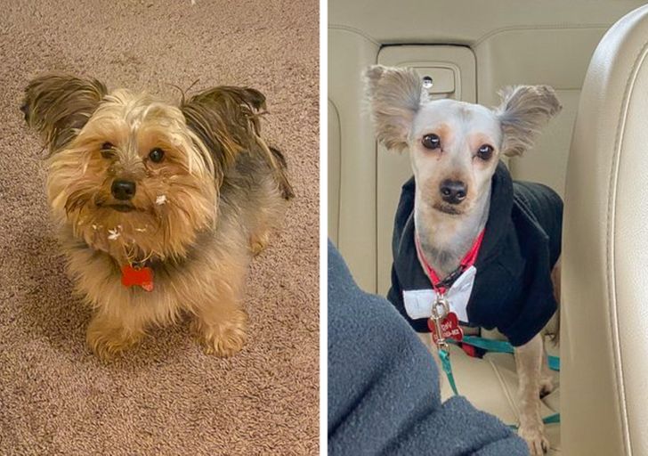 097fee526da6863809499cdba8