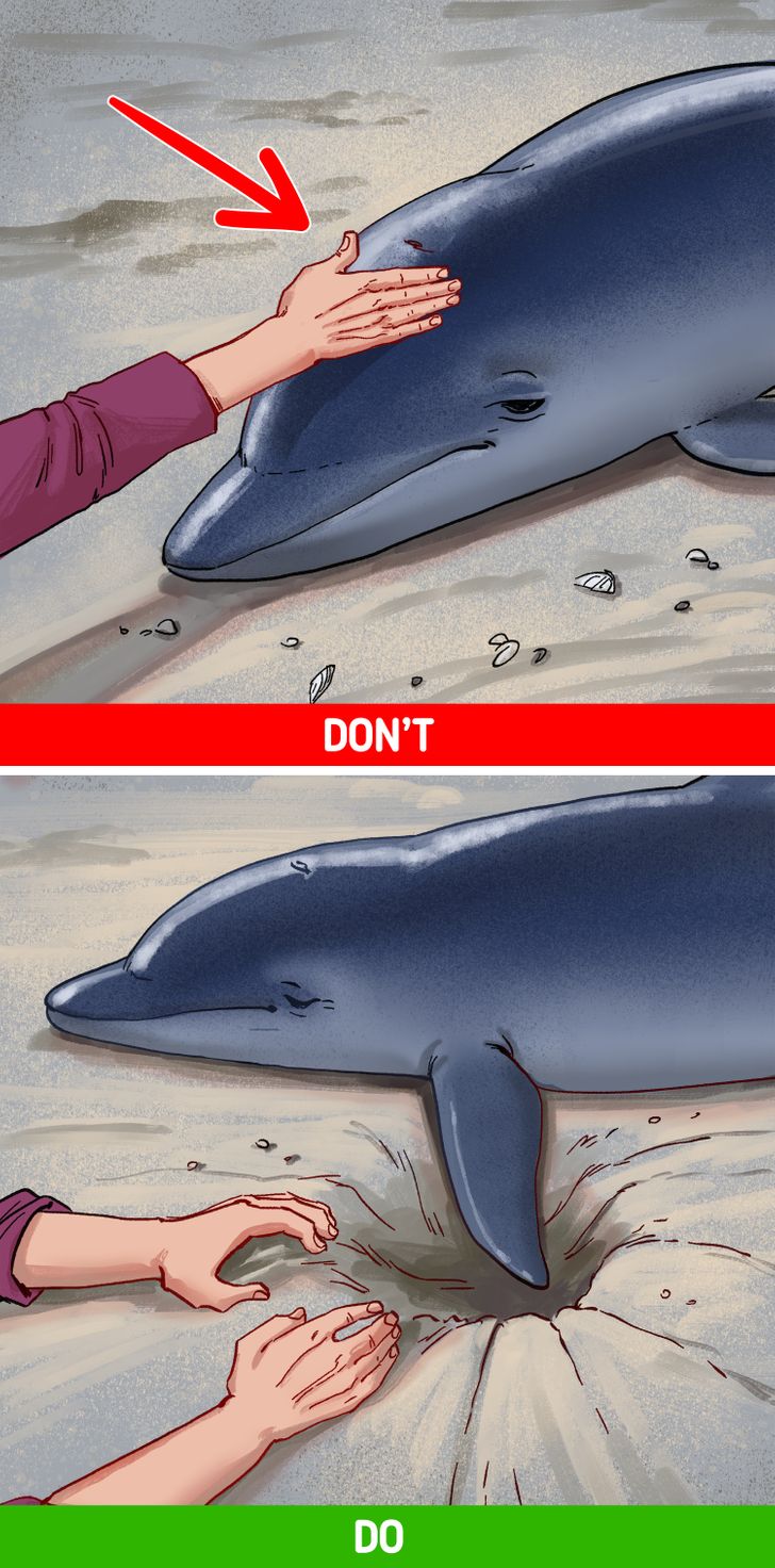 098e8656548ea9b386bbe22c06