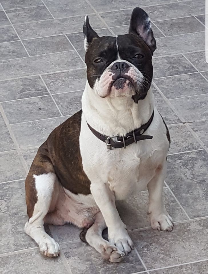 098ec25ee197c6c32c60fd9e2d