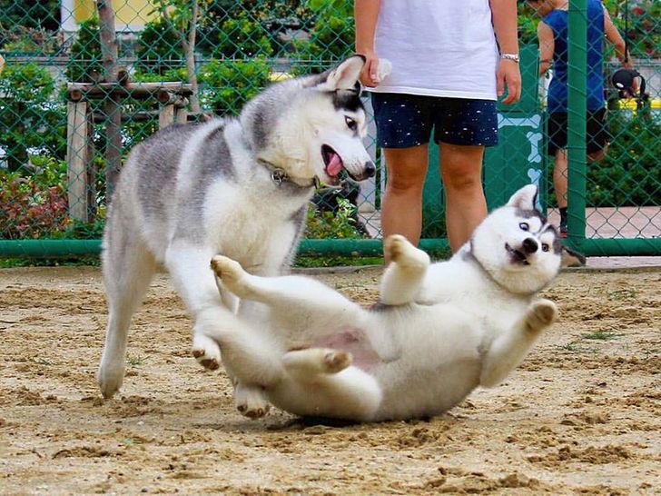 09925855a4abe12dff0673d711