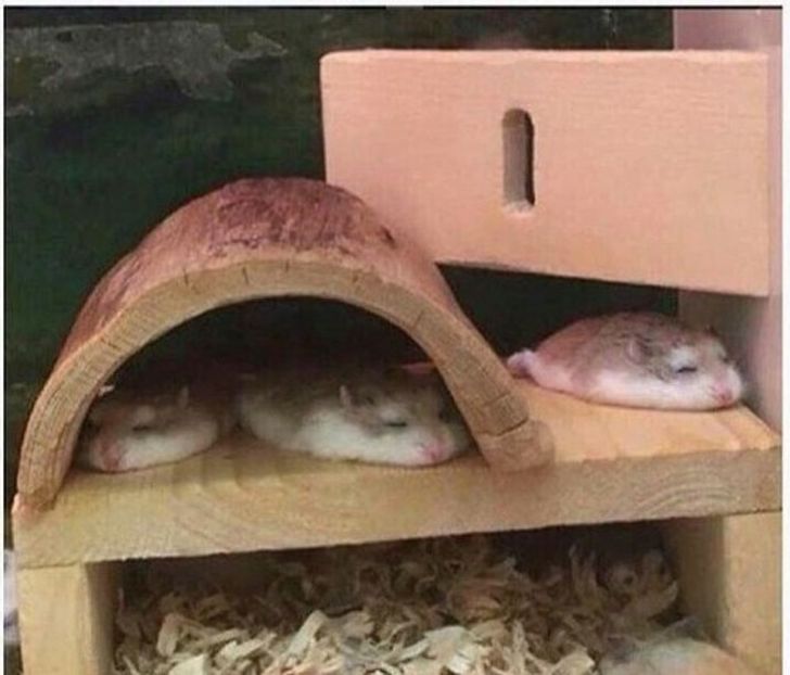 0993fe5fb2a09764af8cdc3b06