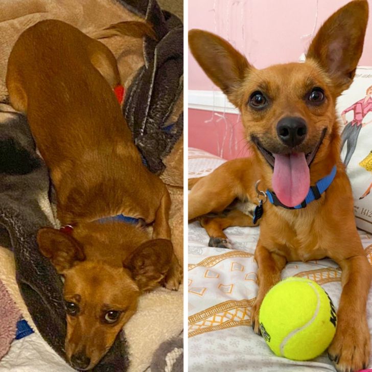 0997c15563a4e2b4a5bc556f48