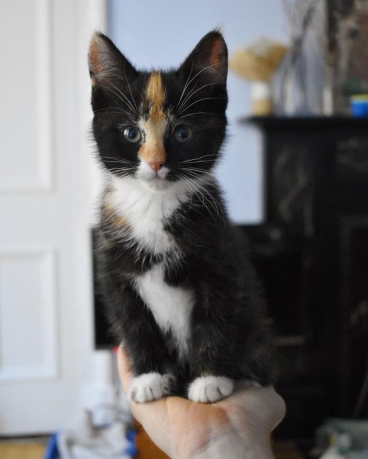 09a1da5e5894b406cd422baa96