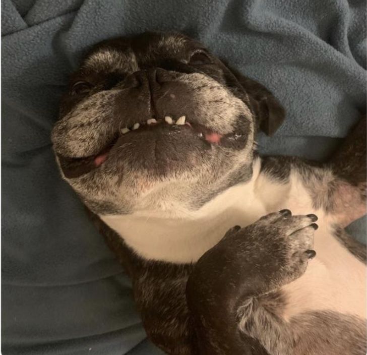 09aaa65e5a857912c11bcaaabe