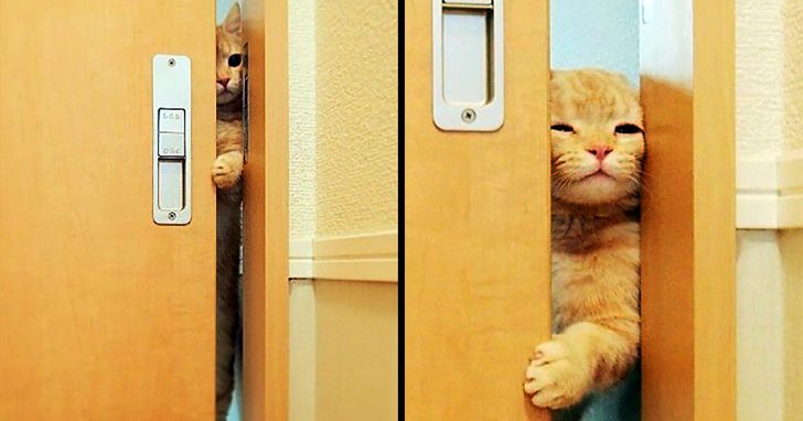 09adc85a8eab300d3ead648827