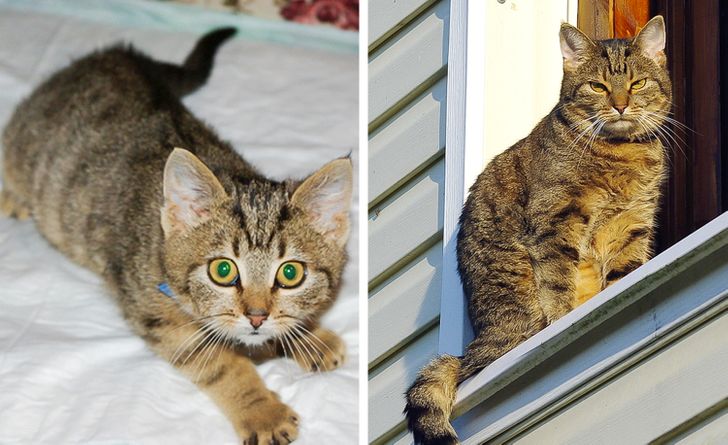 09afb1518a95746067d0f072ec