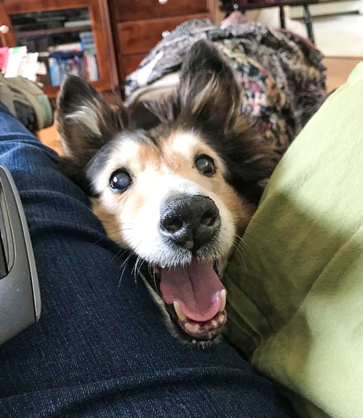 09bc8c5d51b39340c86b918983