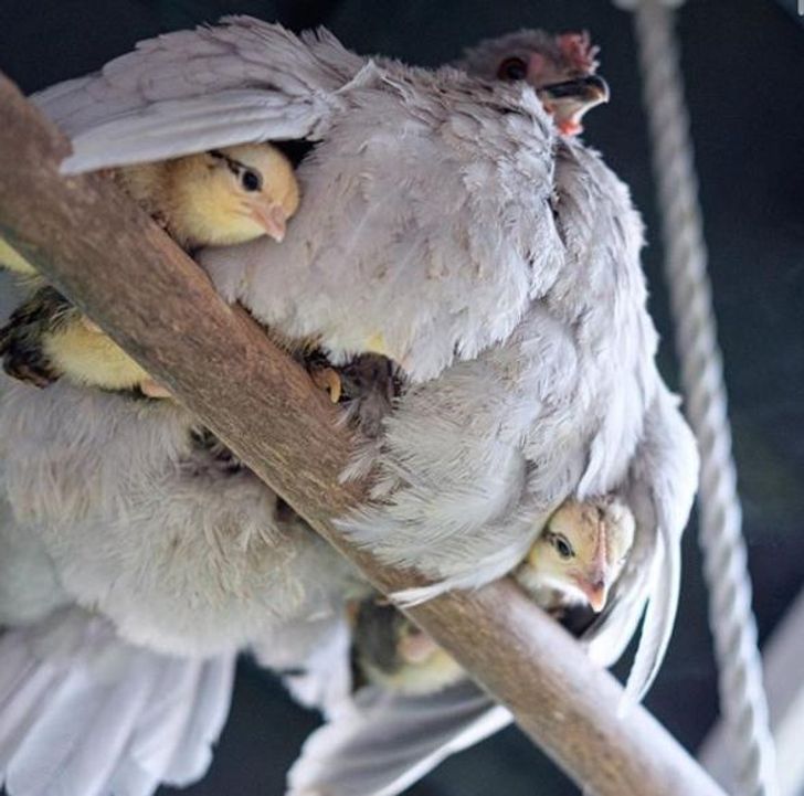 09c429592b900ecf6b6c24eb03