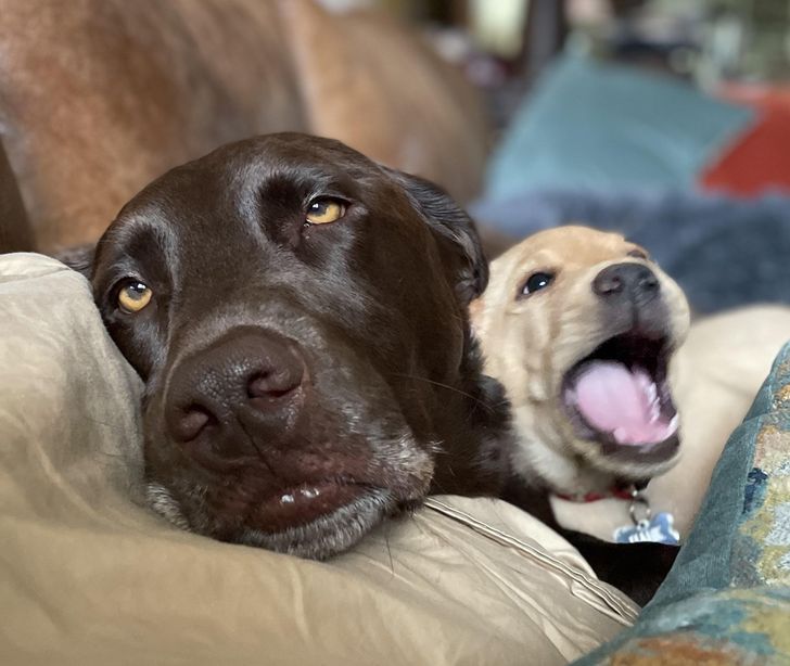 09c5195c89b9ccf8081c8b6d51