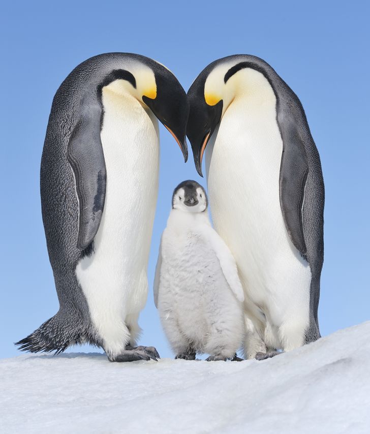 09c66d5a1c8b2d36a3ff5a59ad