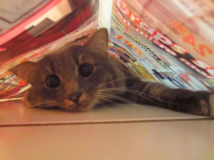 09d3375866aecc318e9018b5f5