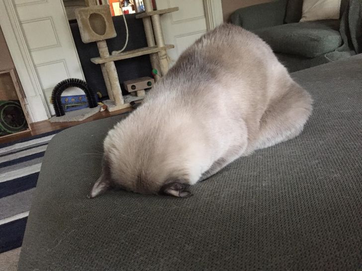 09d3b85f97899e8ee9f88f0b75