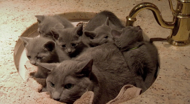 09d6865e00ae455f2ed35743c8