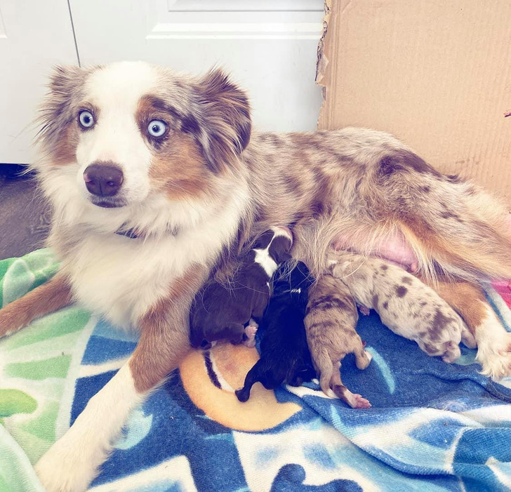 09d96757469fc489968ac89d66 09d96757469fc489968ac89d66