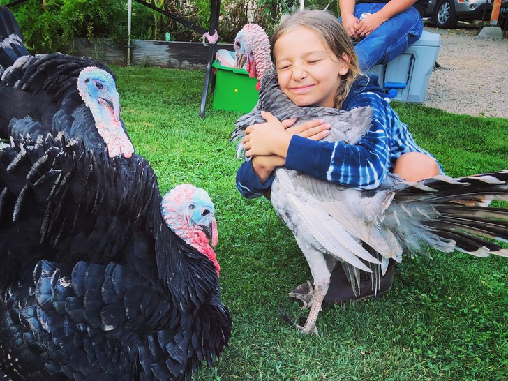 09e2db5e3da7c9317dcf6f27f7