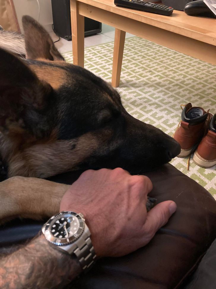 09e2de58fab4a772dbcef7ef88 09e2de58fab4a772dbcef7ef88