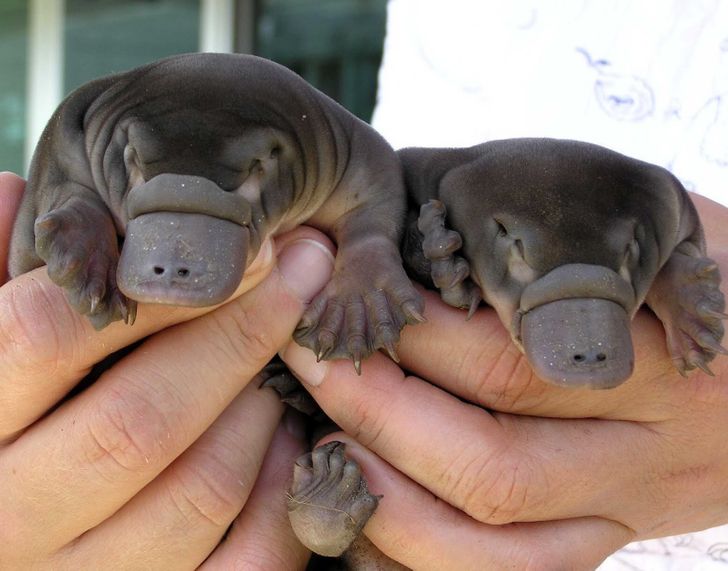 09e5ad5501a075213987f054dd