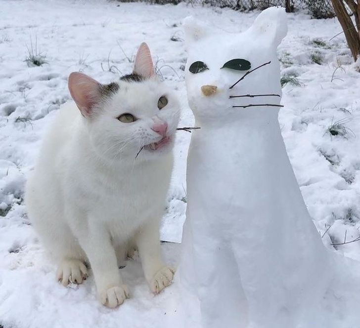 09eac45349822e6dc0ccc8bb02