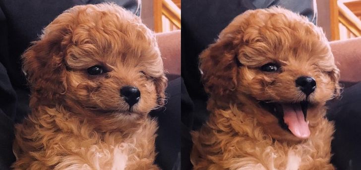 09f2be550c86b4e5ba42709a98