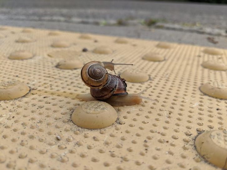 09fa275af394f328e703777bfc