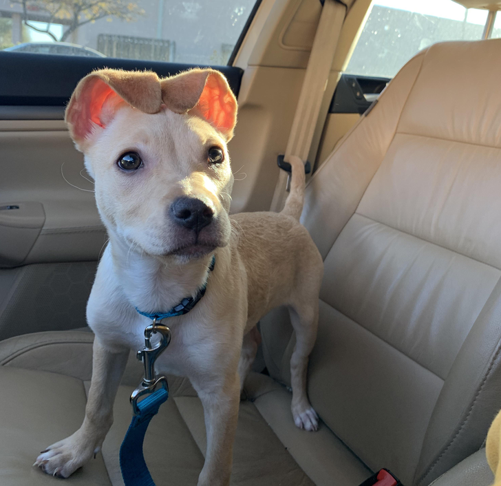 0a07ad57b184ca880ec14d9954