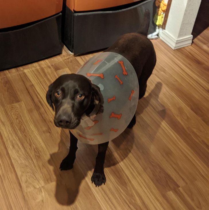 0a0a8d561ebcbf96d0c0bc507d